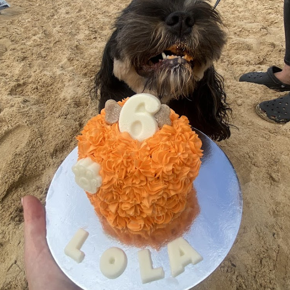 Small Deluxe Dog Birthday Cake