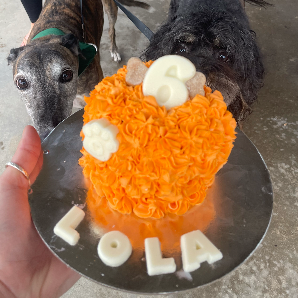 Small Deluxe Dog Birthday Cake