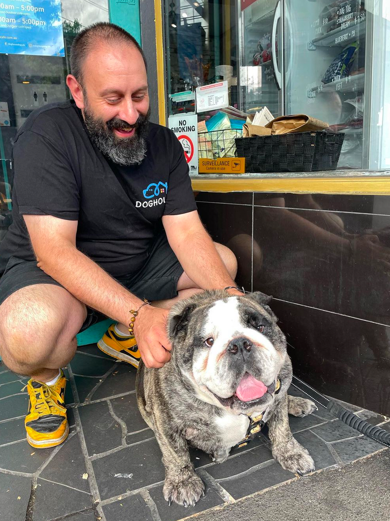 The D.O.G The Dog Owners Guide Doghouse Cafe, Collingwood Tagged