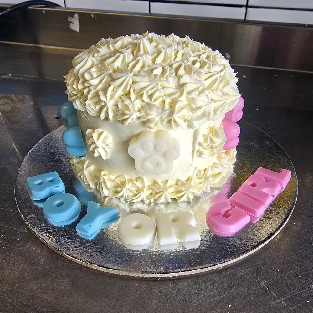 Gender Reveal Dog Cake