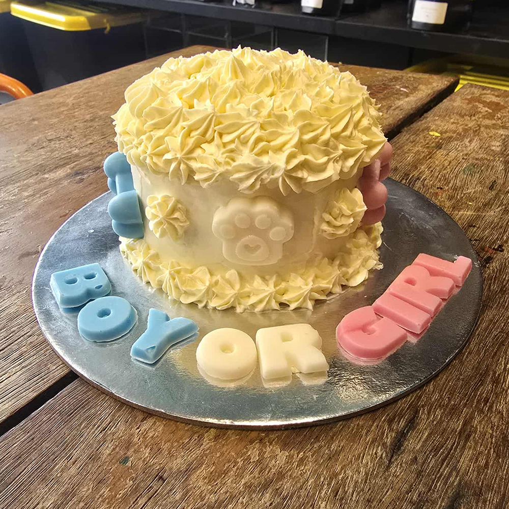 Gender Reveal Dog Cake