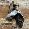 Goat Ears