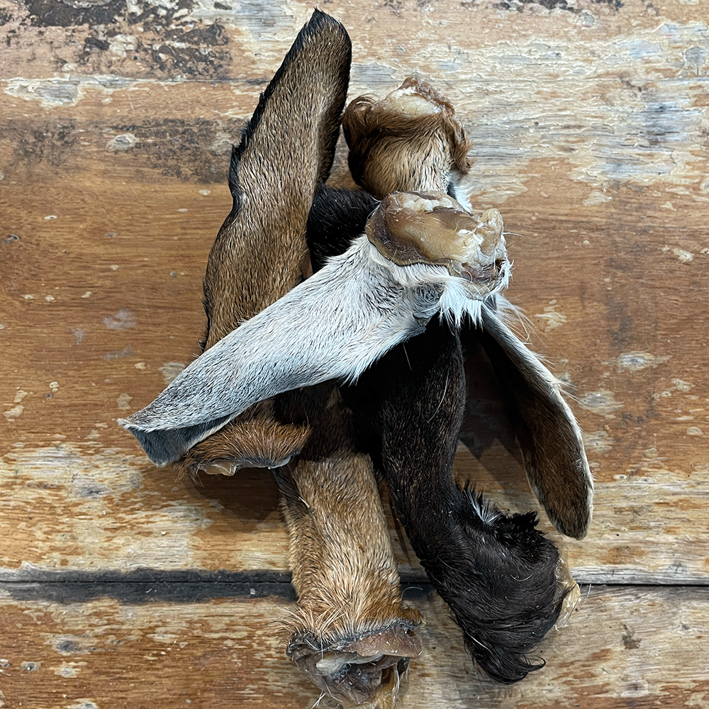 Goat Ears