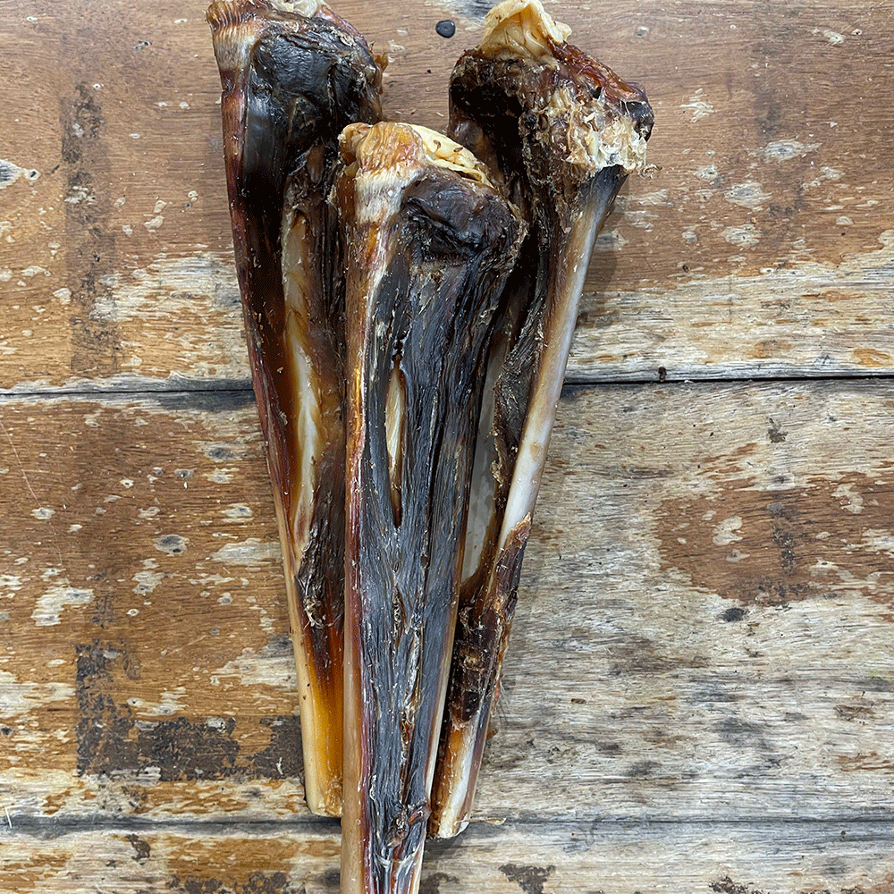 Kangaroo Bones