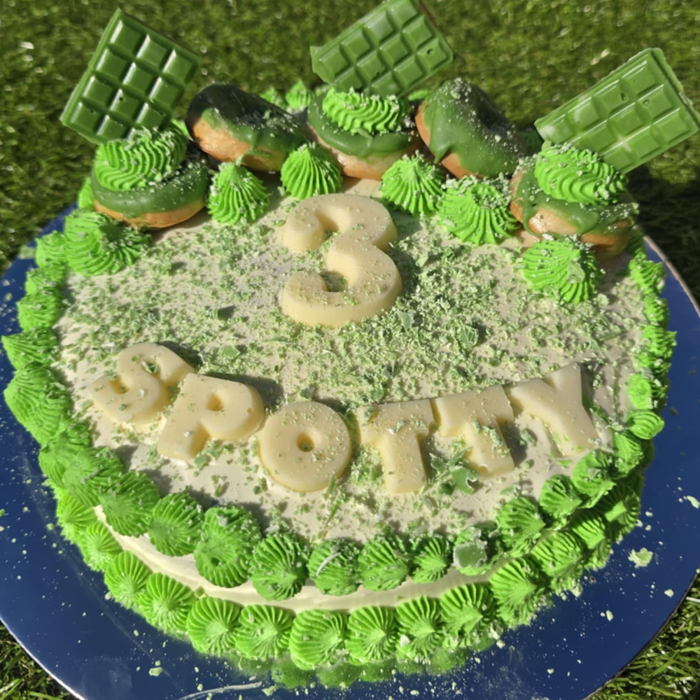 Medium Dog Birthday Cake - w/ donuts