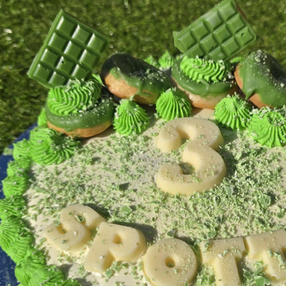 Medium Dog Birthday Cake - w/ donuts