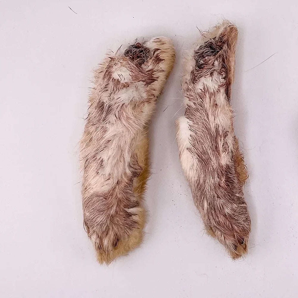 Webbed Foot Rabbit Rabbit Feet – Doghouse Cafe