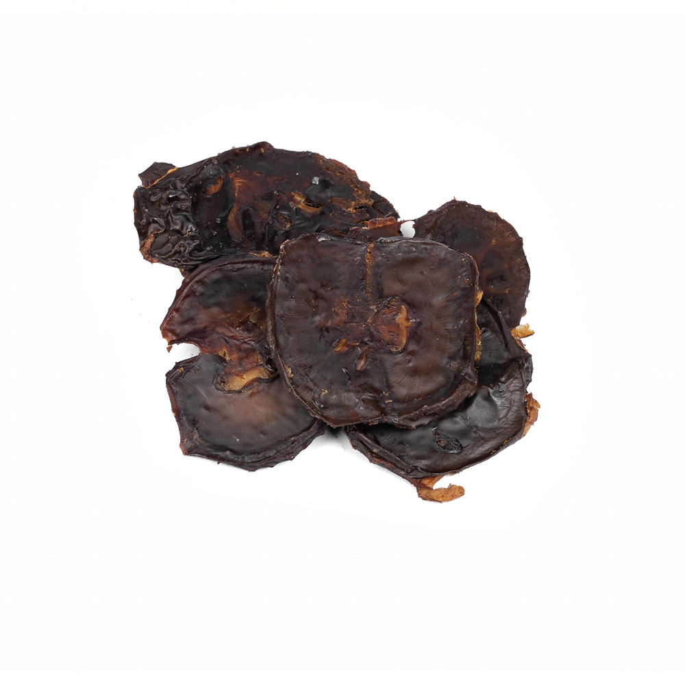 Kangaroo Kidney