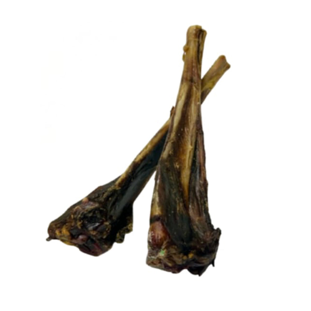 Kangaroo Leg Bones