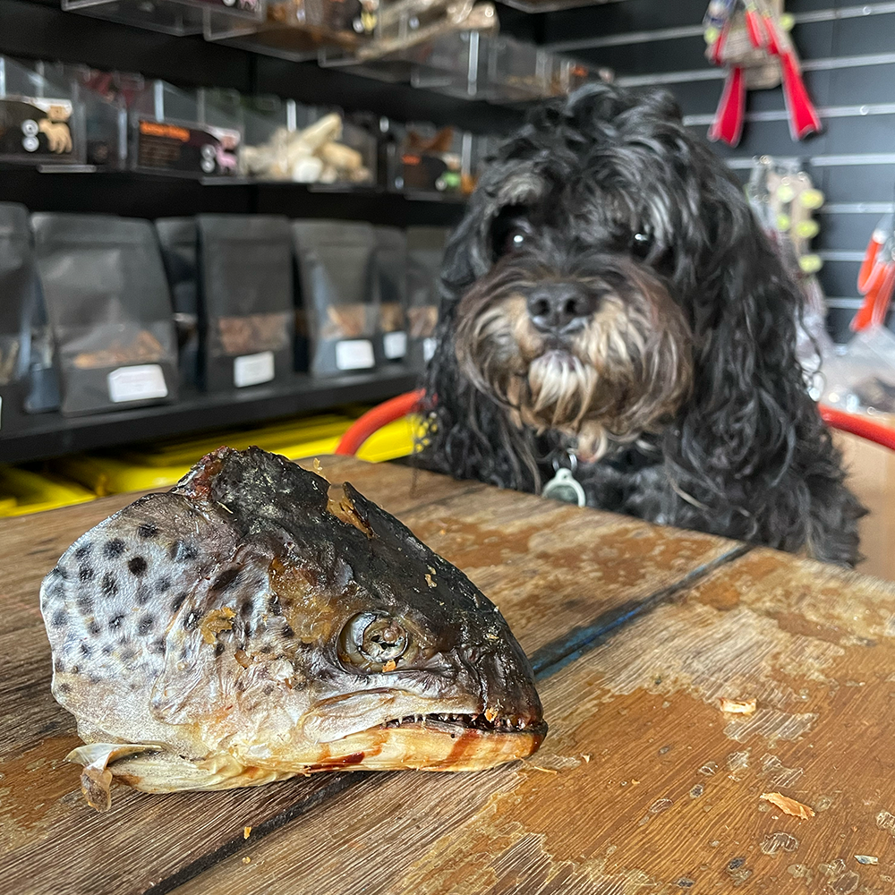 Salmon Heads