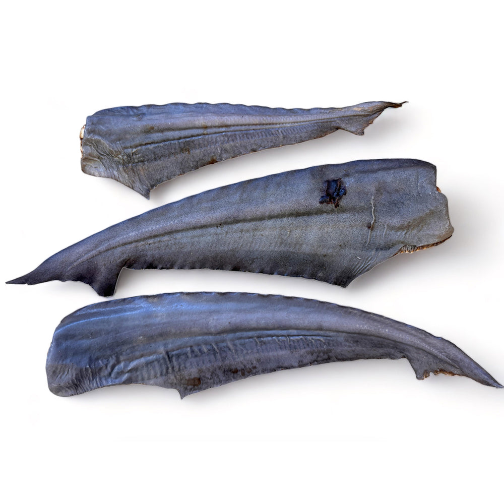 Shark Tail (whole)