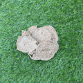 Chicken Disc