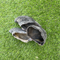 Cow Hooves