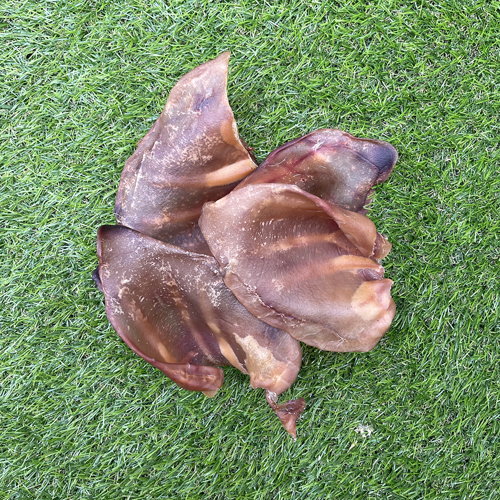 Pig Ear