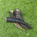 Goat Horns (XL)