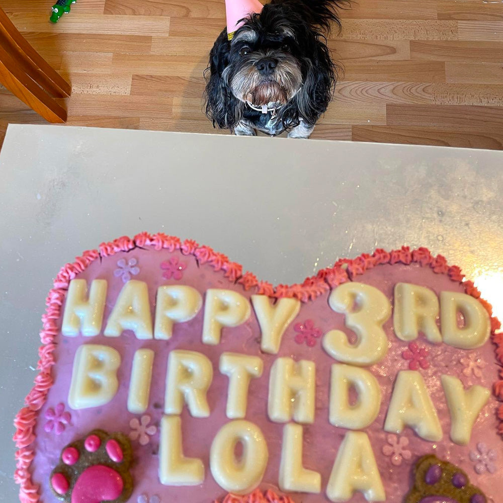 Large Dog Birthday Cake