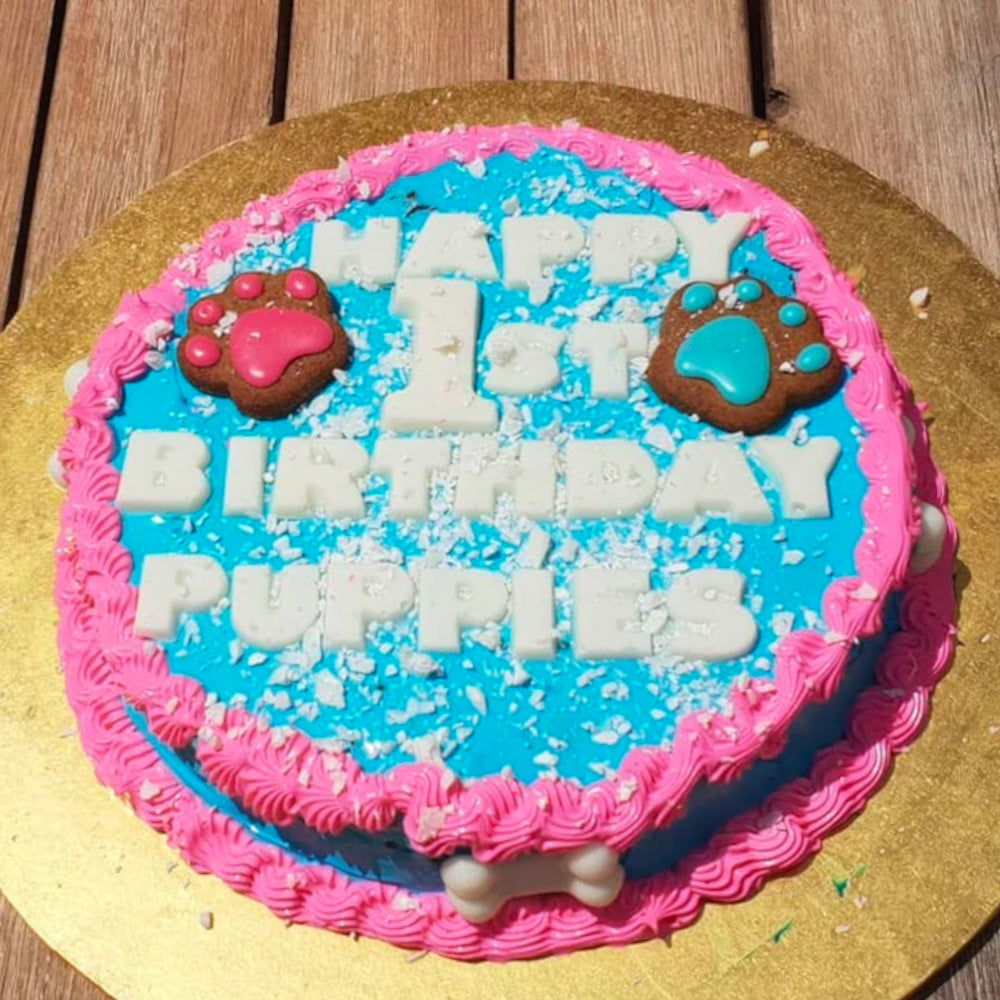Medium Dog Birthday Cake
