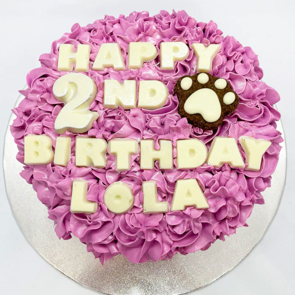 Medium Deluxe Dog Birthday Cake