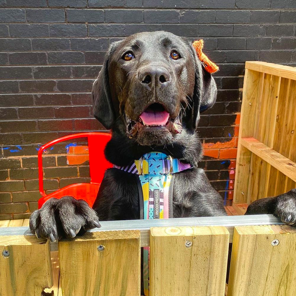 Cafe Booth Booking Fee