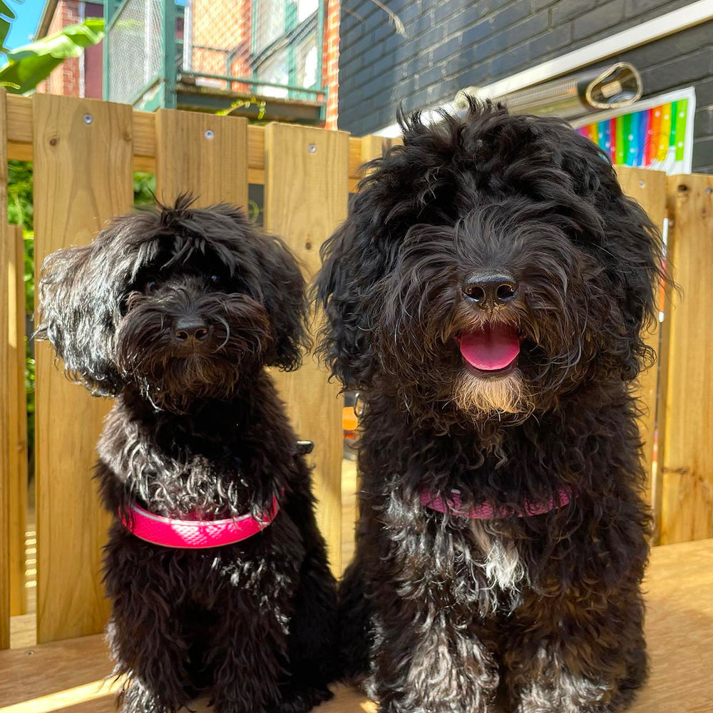 Cafe Booth Booking Fee