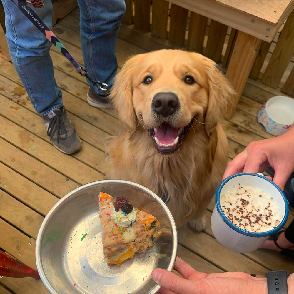 Cafe Booth Booking Fee