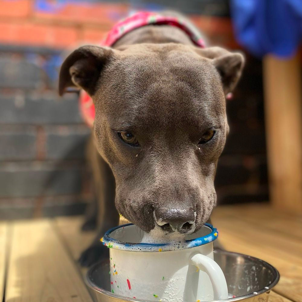 Cafe Booth Booking Fee