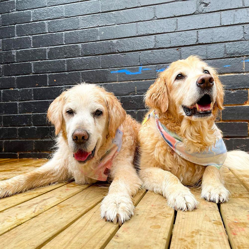 Cafe Booth Booking Fee