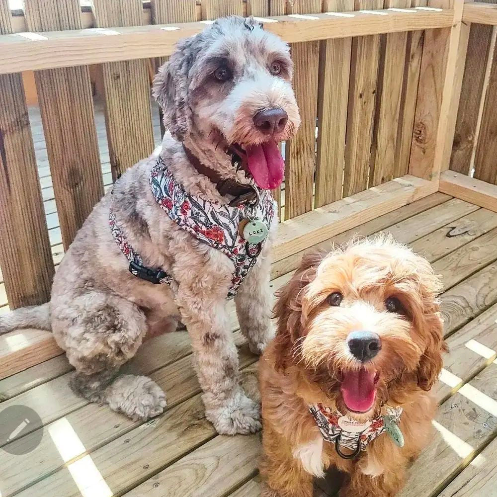 Cafe Booth Booking Fee