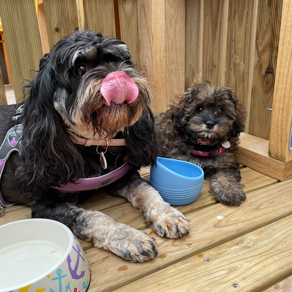 Cafe Booth Booking Fee