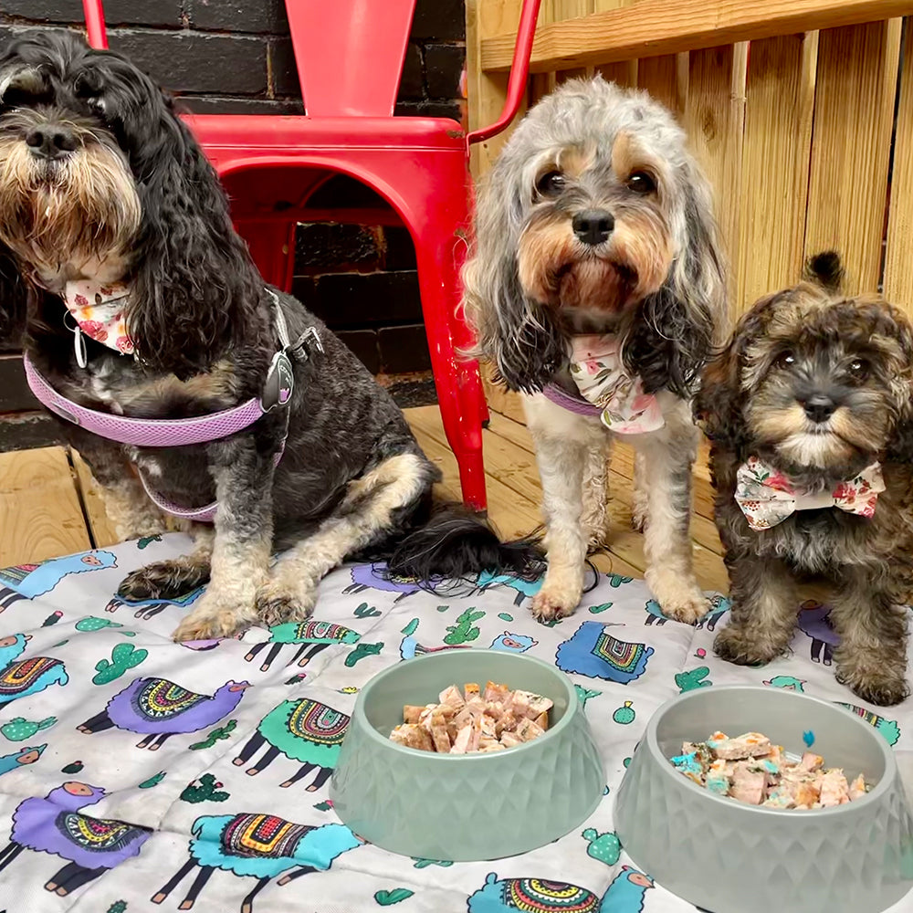 Cafe Booth Booking Fee