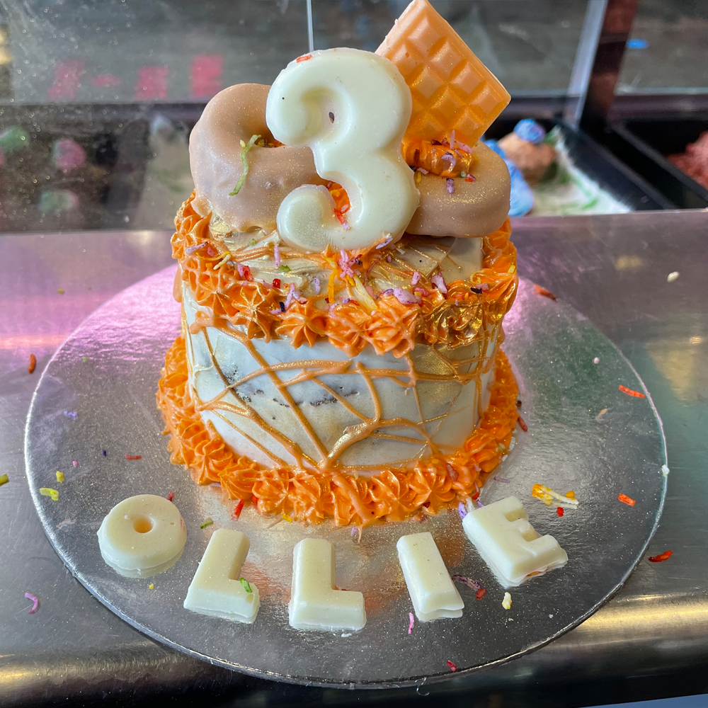 Small Dog Birthday Cake - w/ donuts