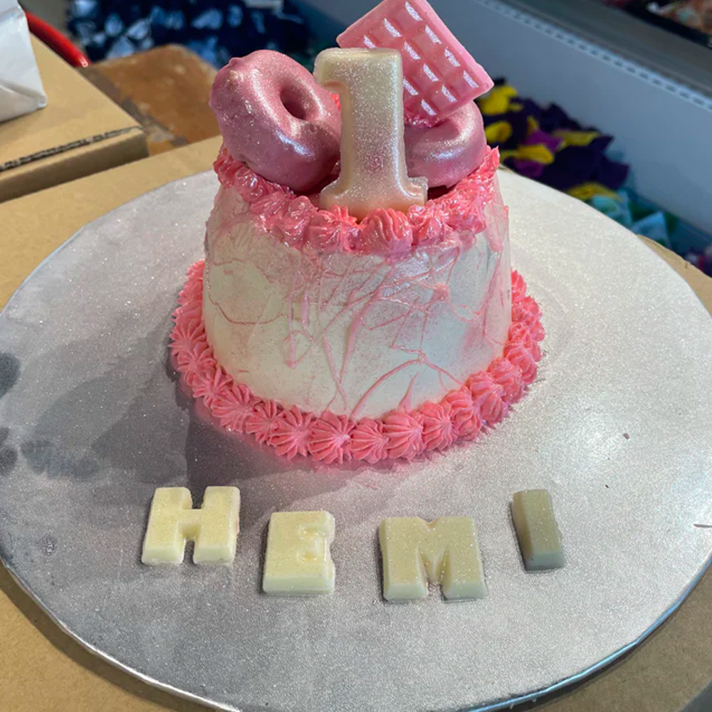Small Dog Birthday Cake - w/ donuts