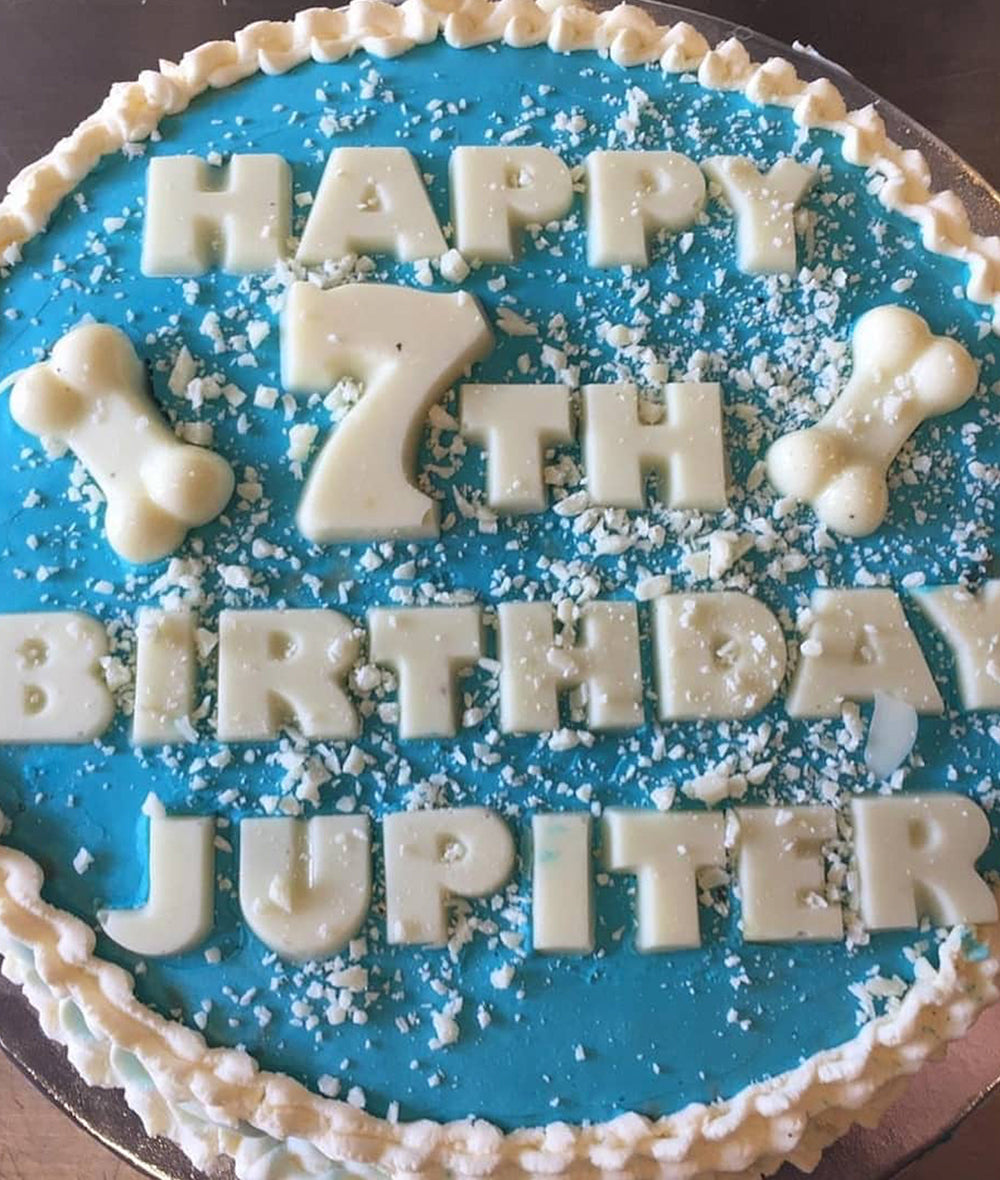 Medium Dog Birthday Cake
