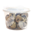 Quail Eggs