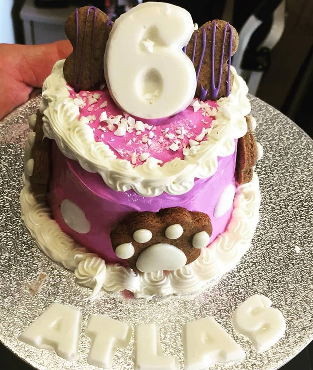 Small Dog Birthday Cake